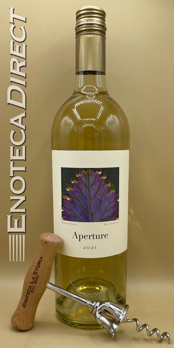2021 Aperture Chenin Blanc