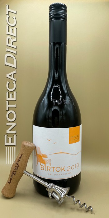 2019 Samuel Tinon Furmint 'Birtok'