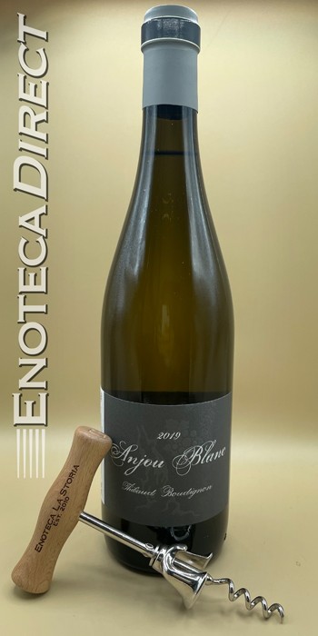 2019 Thibaud Boudignon Anjou Blanc