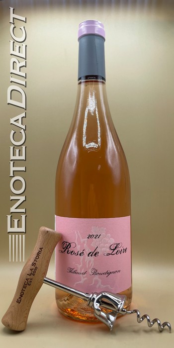 2021 Thibaud Boudignon Rosé de Loire