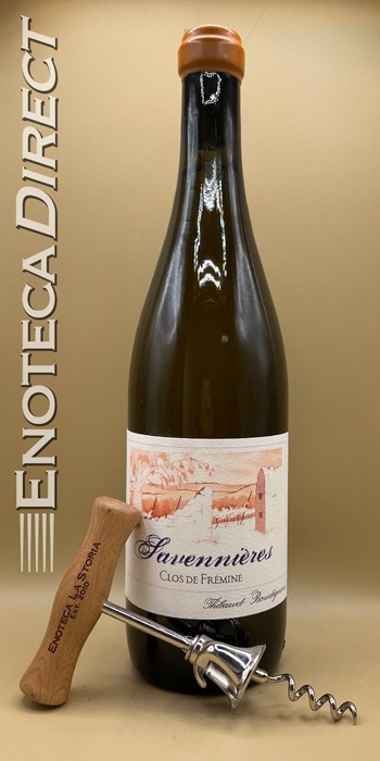 2020 Thibaud Boudignon Savennières
