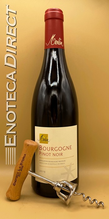 2019 Domaine Olivier Merlin Bourgogne Pinot Noir