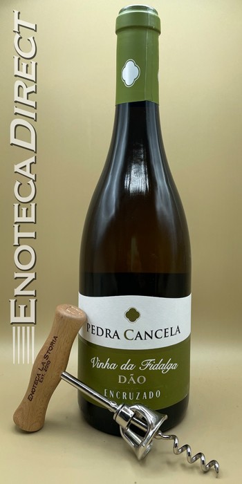 2019 Pedra Cancela Encruzado 'Vinha da Fidalga'