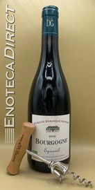 2019 Dominique Gruhier Bourgogne Epineuil Rouge